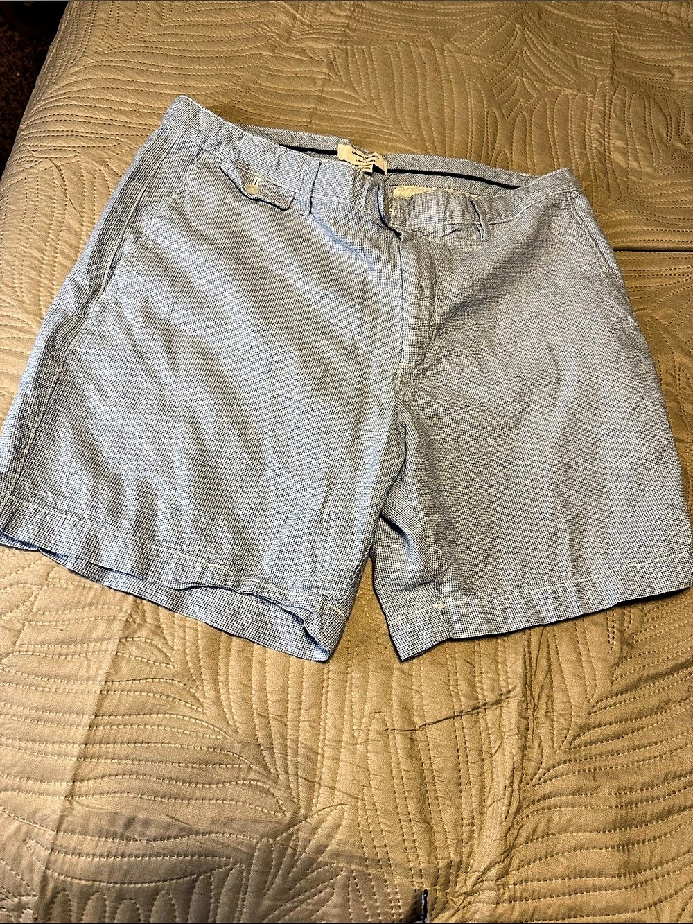 Banana Republic Linen-Blend Flat Front Shorts Blue Size 33